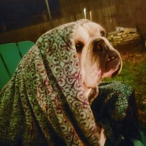 Meet your Posher, Gloria robert